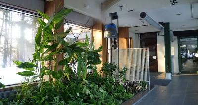 PS マダガスカル